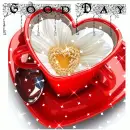 Good Day