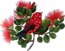 red