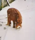 This tastes good