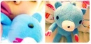 The Teddybear