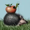 riding the hedgehog