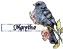 Blue Bird