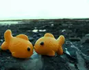 Cute