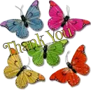 batterfly