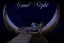 good  night moon fantasy