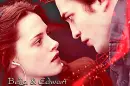 Bella & Robert