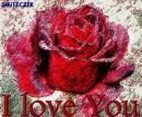 I love You 