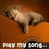 Guitar Kitty