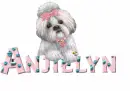 CUTE DOG anjielyn