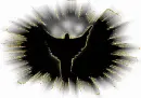 Black Angel
