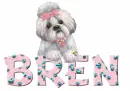 CUTE DOG BREN