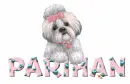 CUTE DOG PARIHAN