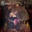 Rowan Magick in the Air