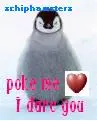 penguin