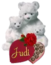 Judi