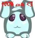 cute bunny