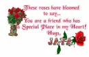 Roses for you friend-Jaya
