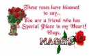 Roses for you friend-Maggie