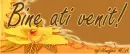 bine ati venit