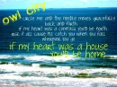 owl city