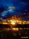 Beautiful Sunset