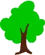 heart tree