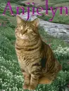 Anjielyn