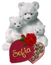 Sofia