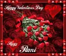 Happy Valentines Day ~ Hugs Pami - fg - vday