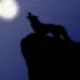 Wolf Avatar