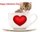 Happy Valentines Day