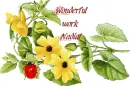 wonderful