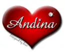 Andina