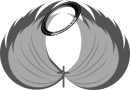 Black and Grey Angel Wings With Halo