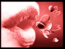kiss and hugs 