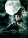 Night moon 