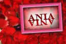 Red rose -- Ania 