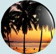 Beach scene