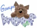 Genalyn
