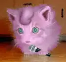 Jigglypuff