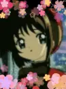 SCC [Flowers]