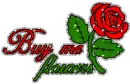 buy me flowers