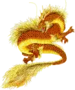 gold dragon