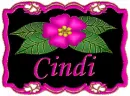 Cindi