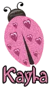 Cute Lady Bug -Kayla-