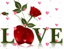 love