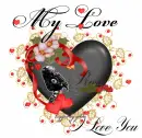 My LOve Rose
