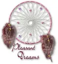 Dream Catcher
