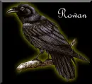 Rowan Raven