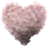 stormy heart